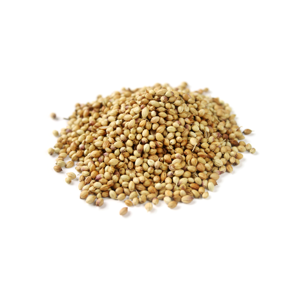 Coriander Seed