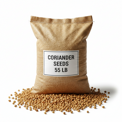 Coriander Seed